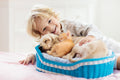 Green Pet Beds: Giving Your Pet Sustainable Comfort