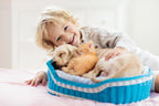 Green Pet Beds: Giving Your Pet Sustainable Comfort