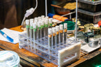 Guide to Delta-10: A New Cannabinoid On the Market