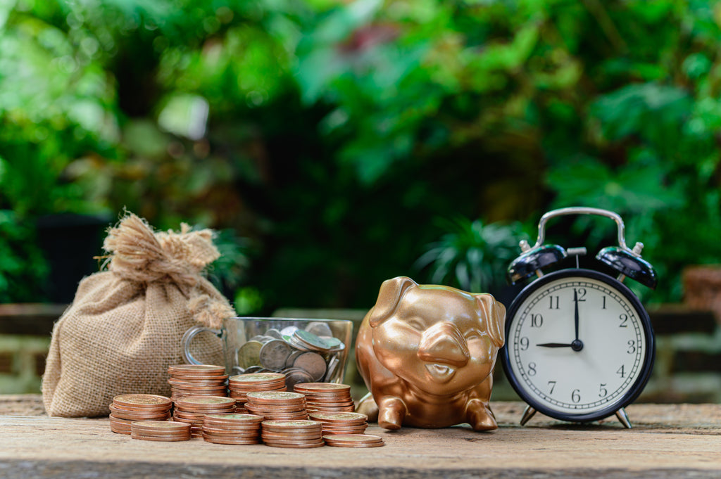 Guide to Essential Financial Resources in Times of Crisis