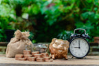 Guide to Essential Financial Resources in Times of Crisis