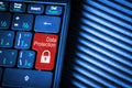 Here’s How to Keep Your Personal Info Off the Dark Web