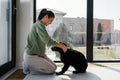 How Caring for a Pet Improves Mental Wellness