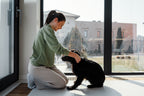 How Caring for a Pet Improves Mental Wellness