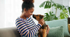 How Caring for a Pet Improves Mental Wellness
