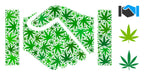 How Marijuana Companies Go National in the U.S.