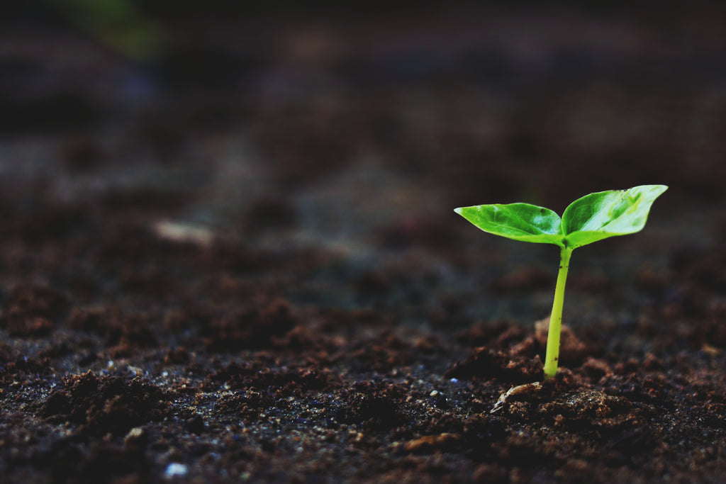 How Staying Informed is One Thing You Can Do to Help the Planet