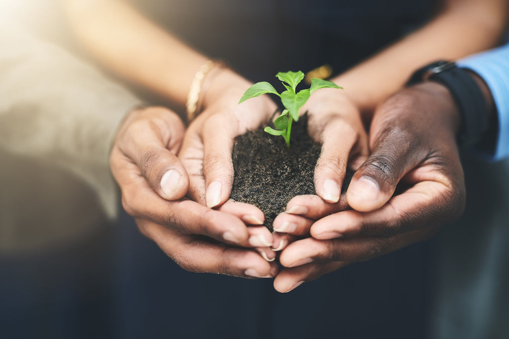 How Staying Informed is One Thing You Can Do to Help the Planet