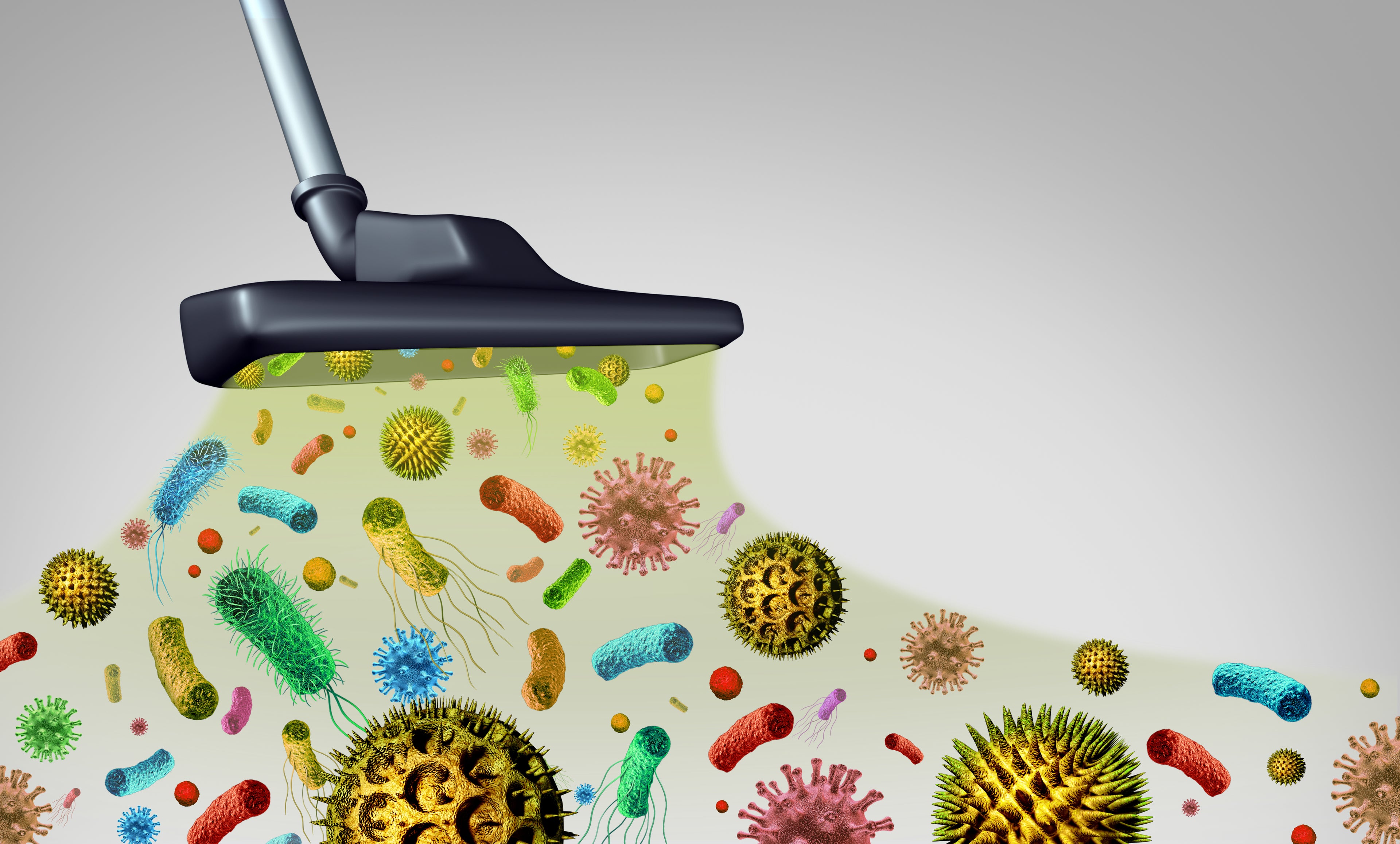 How to Make Your Home Allergen-Free