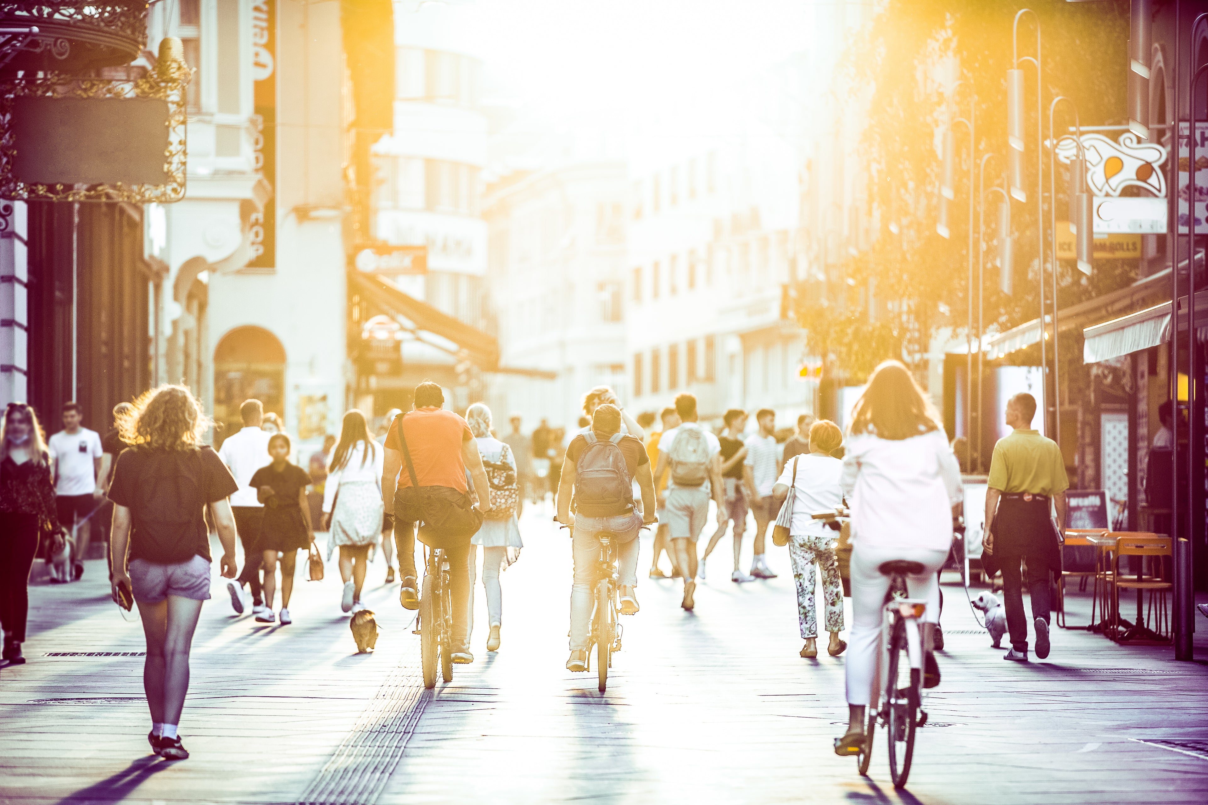How a Surging Population Impacts the Environment