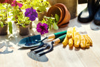 How to Create a Pet-Safe, Earth-Friendly Garden