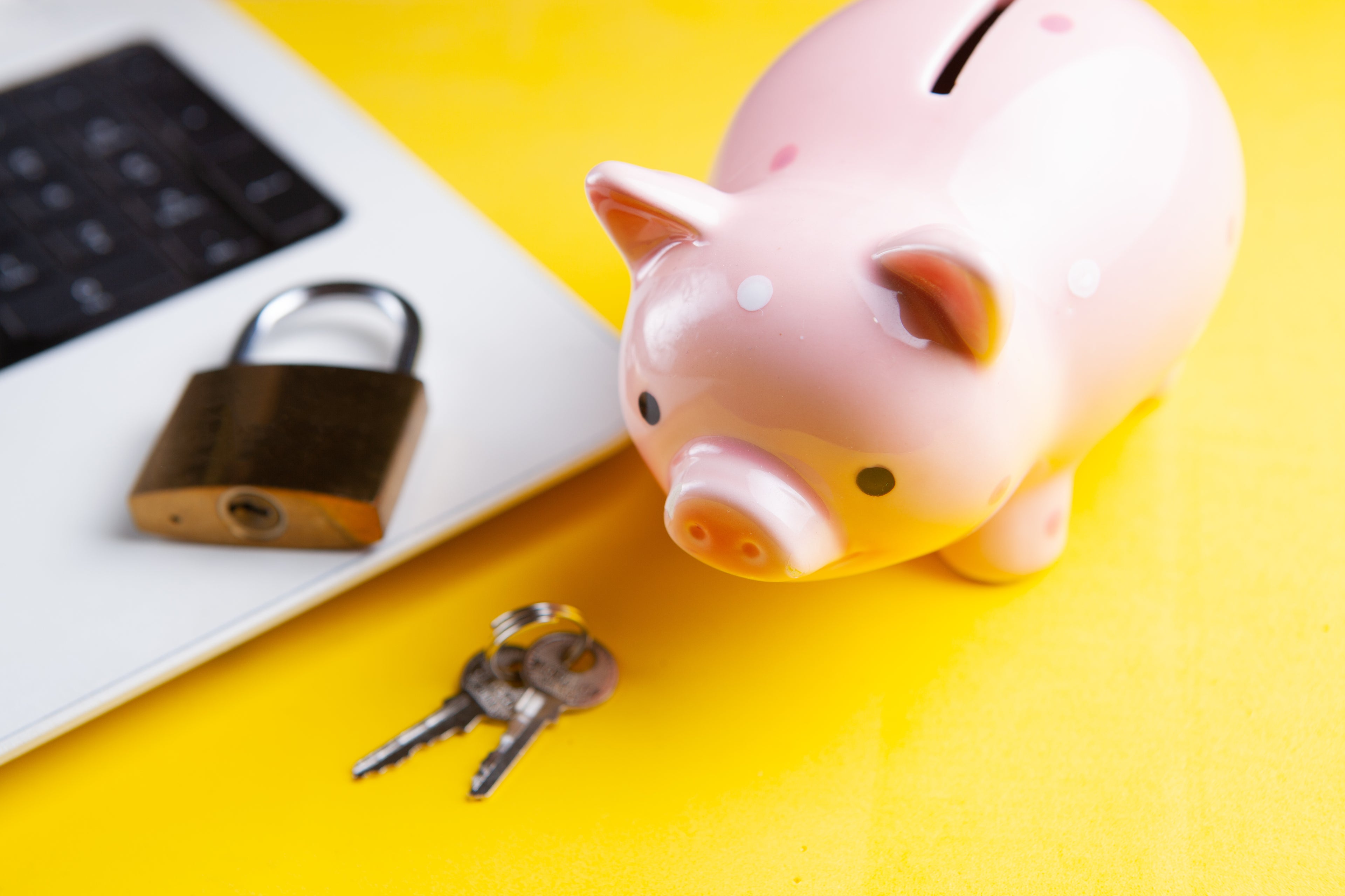 How to Efficiently Manage and Protect Your Financial Records