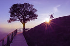 How to Live Frugally and Still Enjoy Life to Its Fullest