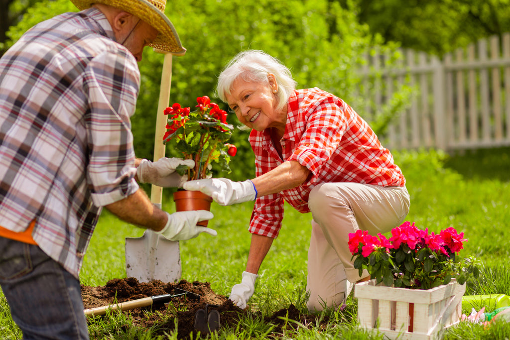 How to Start a Garden in Retirement