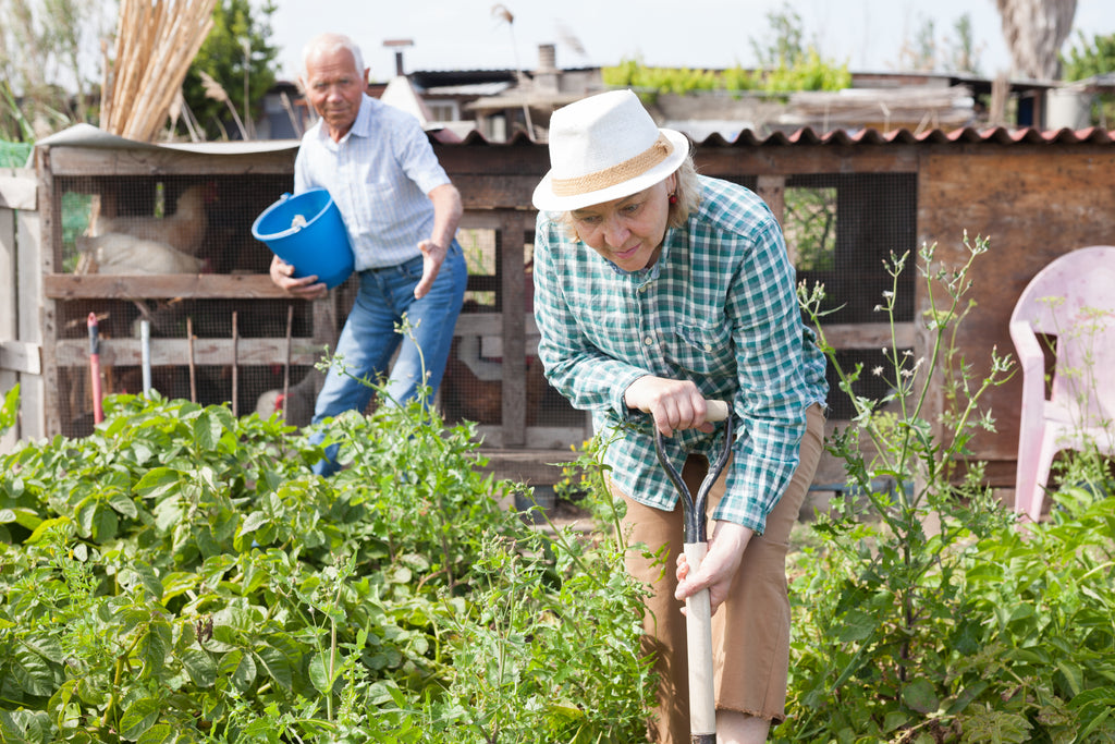 How to Start a Garden in Retirement