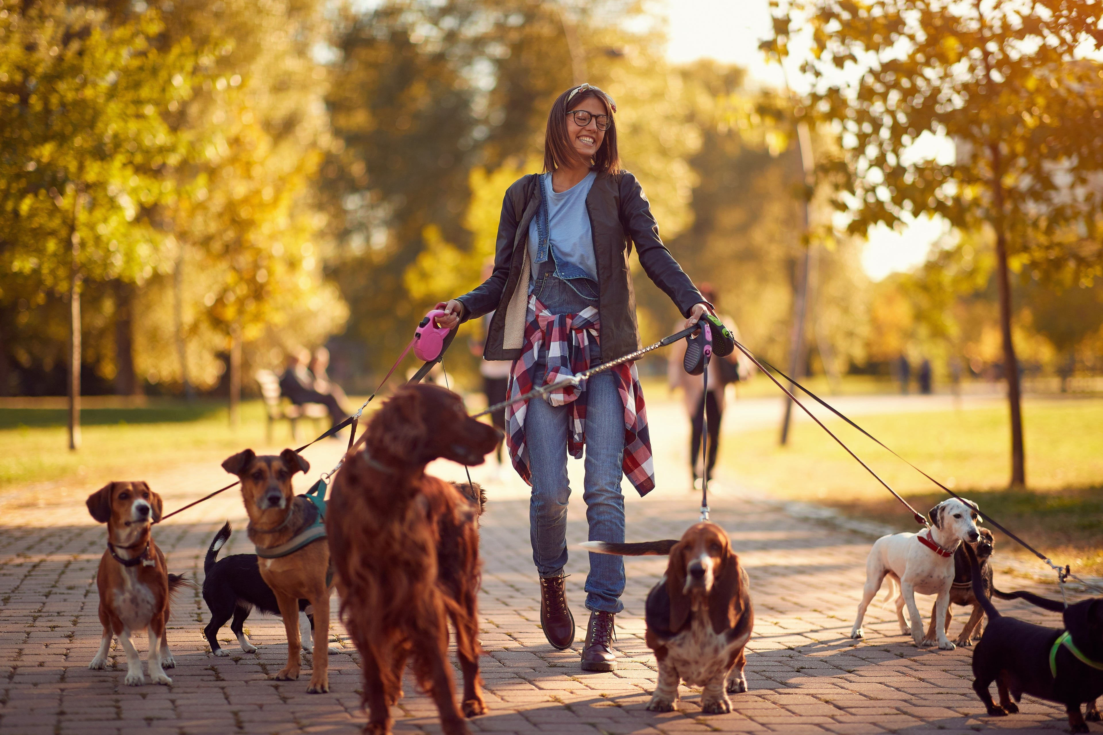 Keep Your Daily Pet Walks and Hikes Eco-Friendly