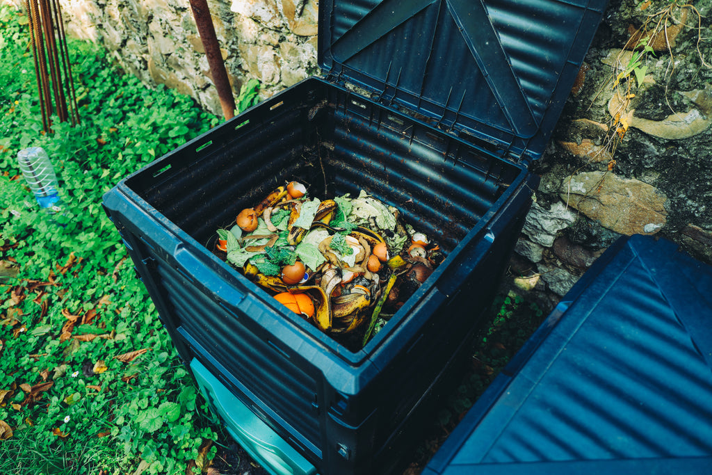 Learn How to Compost at Home with This Handy Guide