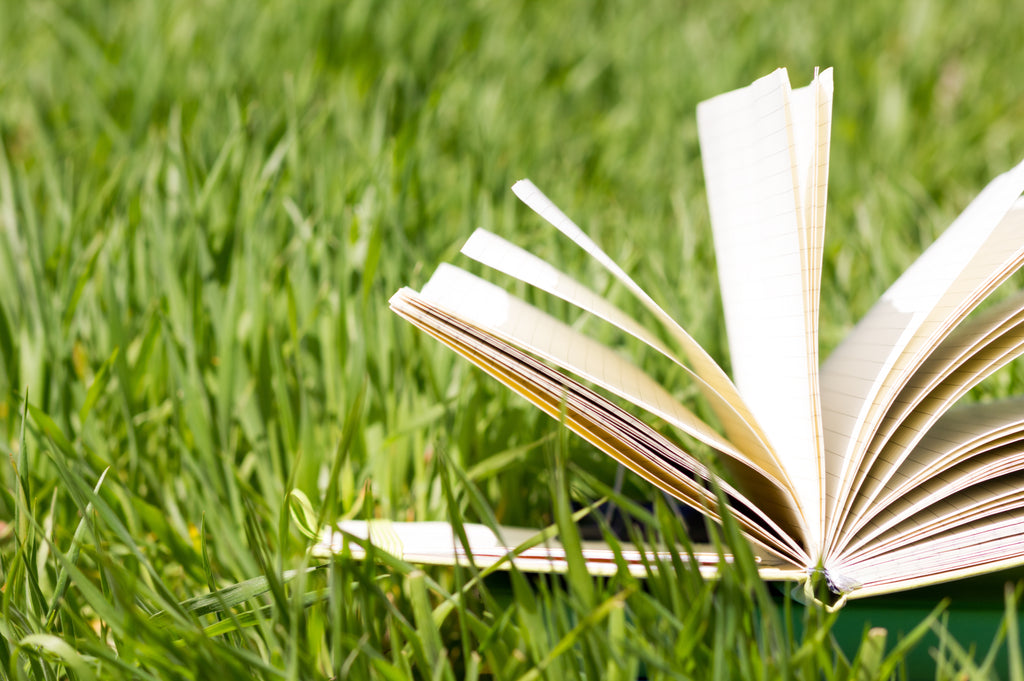 Learn How to Live Green with These 7 Eco-Friendly Guides