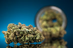 New to Cannabis? Here's What You Need to Know About Strains