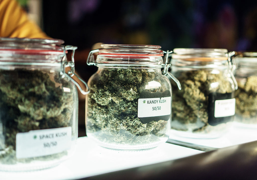 New to Cannabis? Here's What You Need to Know About Strains