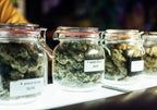 New to Cannabis? Here's What You Need to Know About Strains