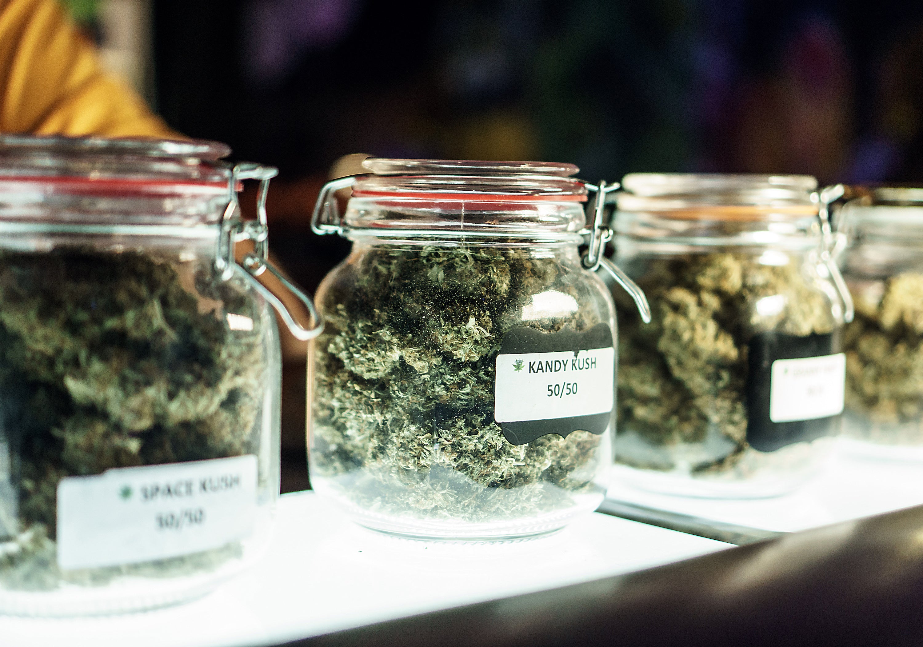 New to Cannabis? Here's What You Need to Know About Strains