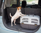 Pet-Proof Your Vehicle With This Helpful Guide