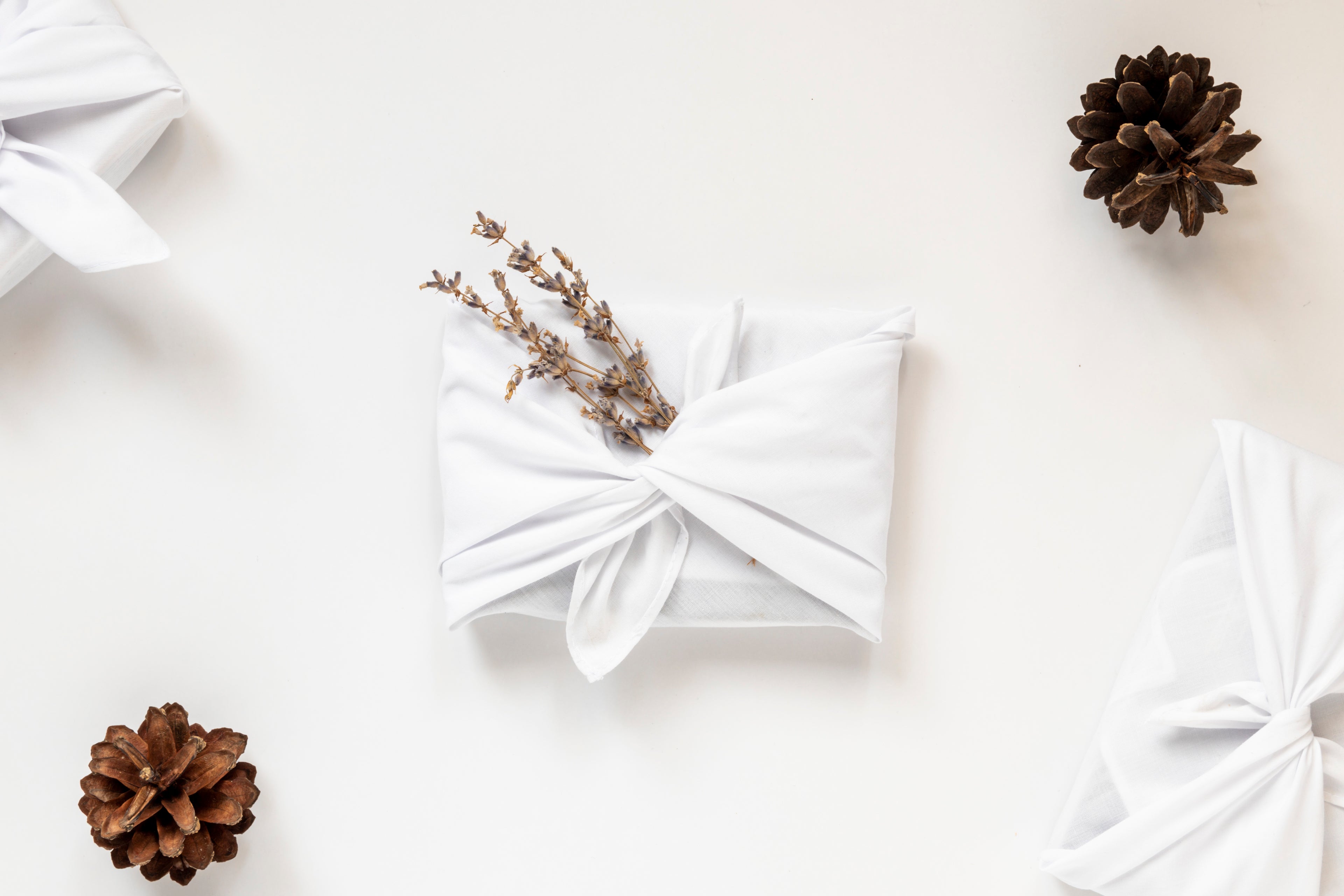 Protect the Planet This Holiday Season with these Green Wrapping Paper Alternatives