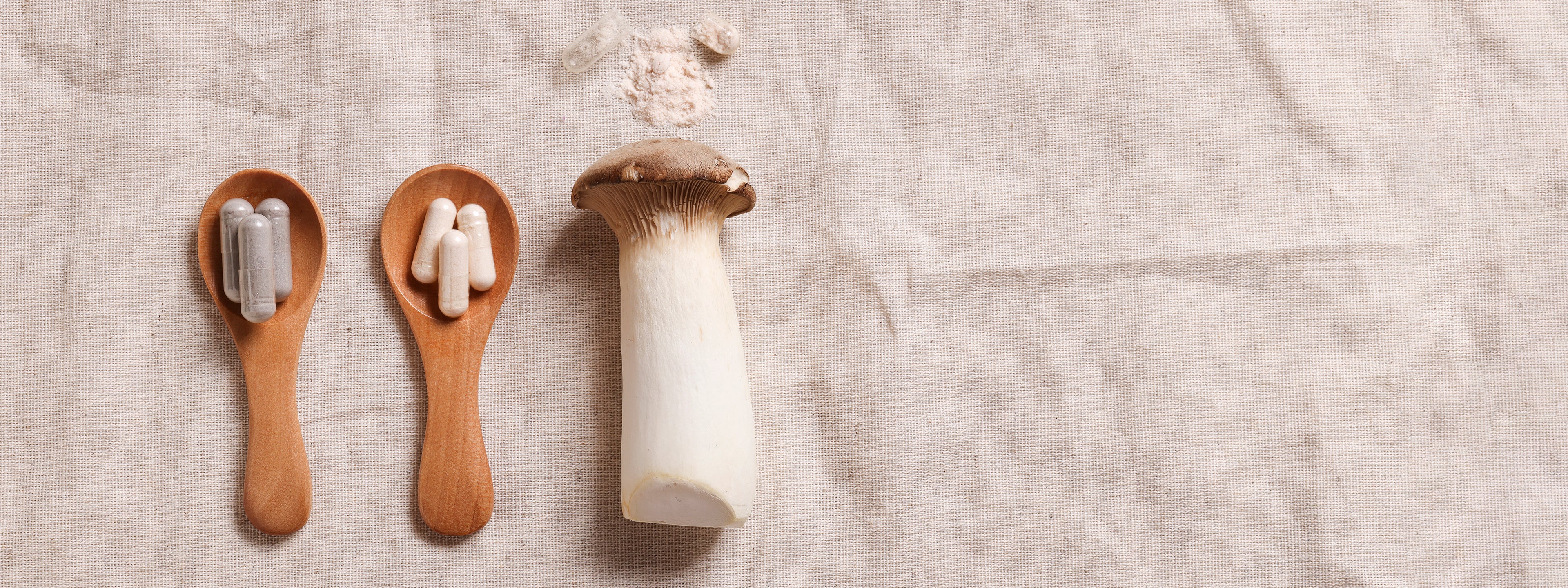 Psilocybin 101: A Breakthrough Mental Health Therapy