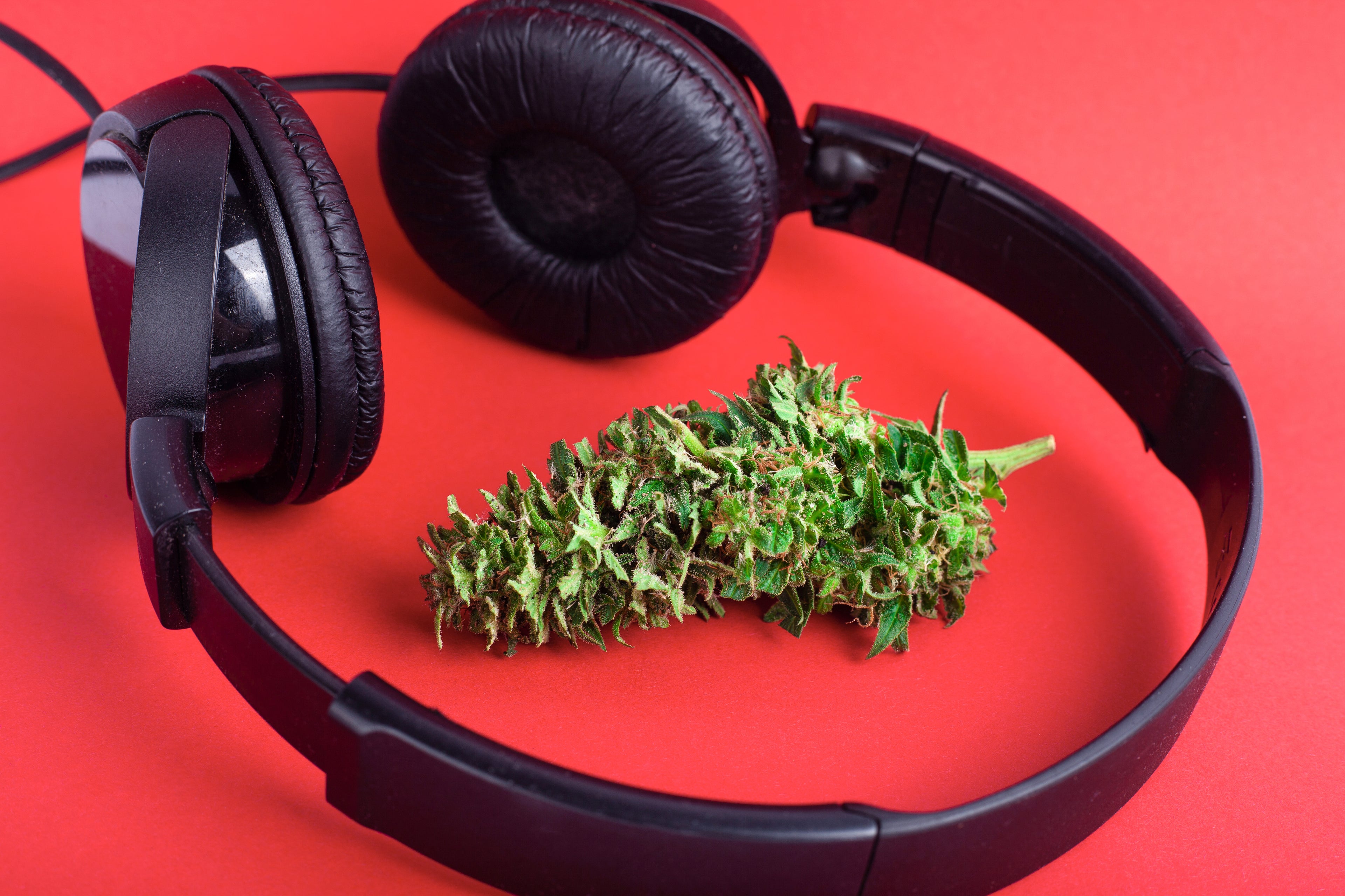 Rolling Up the Charts: 20 Weed Anthems That Scored Big