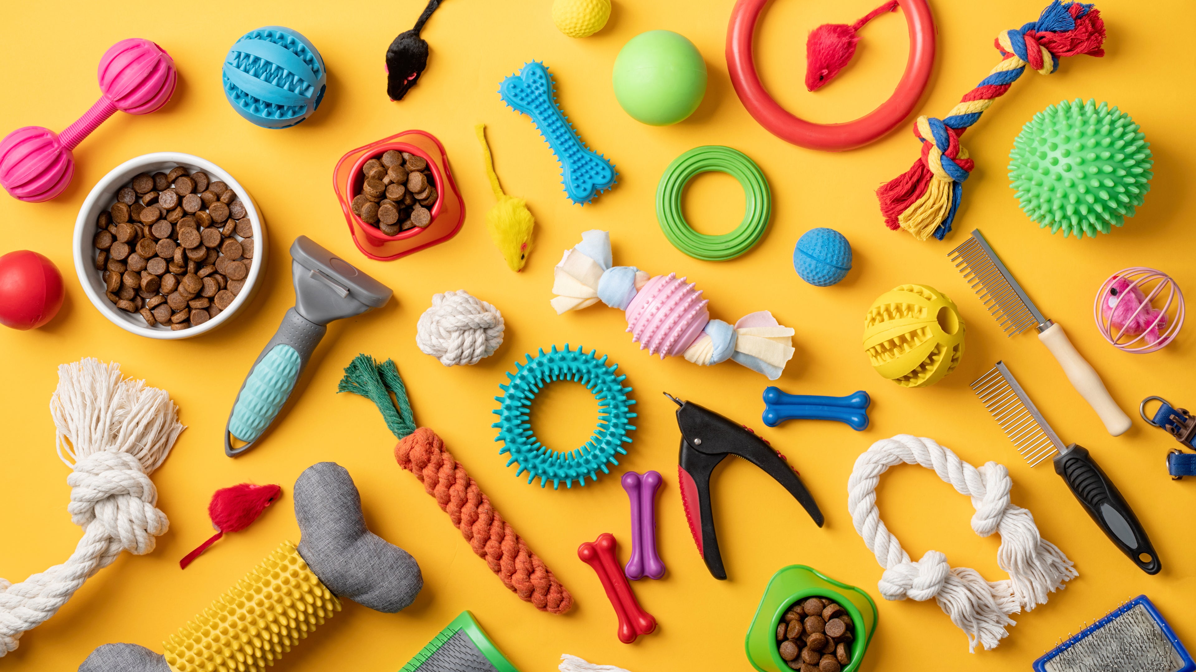 Save Money and Get Crafty with These DIY Dog Toys