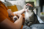 Shop Local for Pet Products to Help the Planet