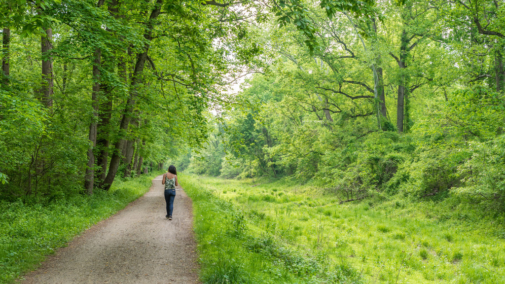 Swap the Gym for Nature’s Beauty: Take Your Workout Outside