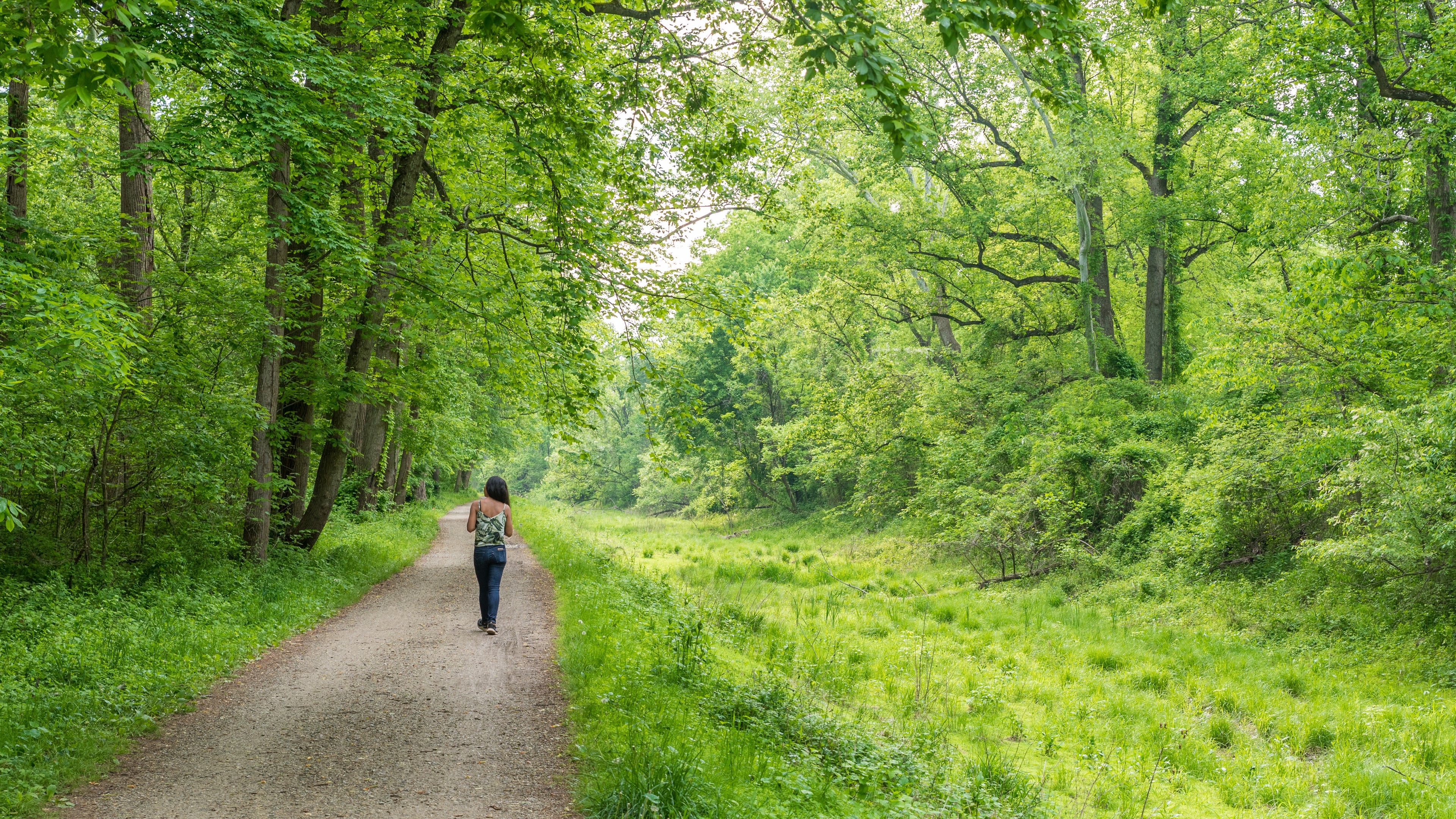 Swap the Gym for Nature’s Beauty: Take Your Workout Outside