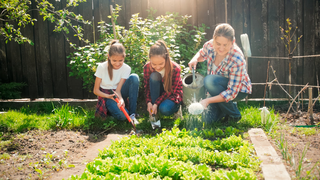 Teach Your Kids Sustainable Gardening With These Simple Tips