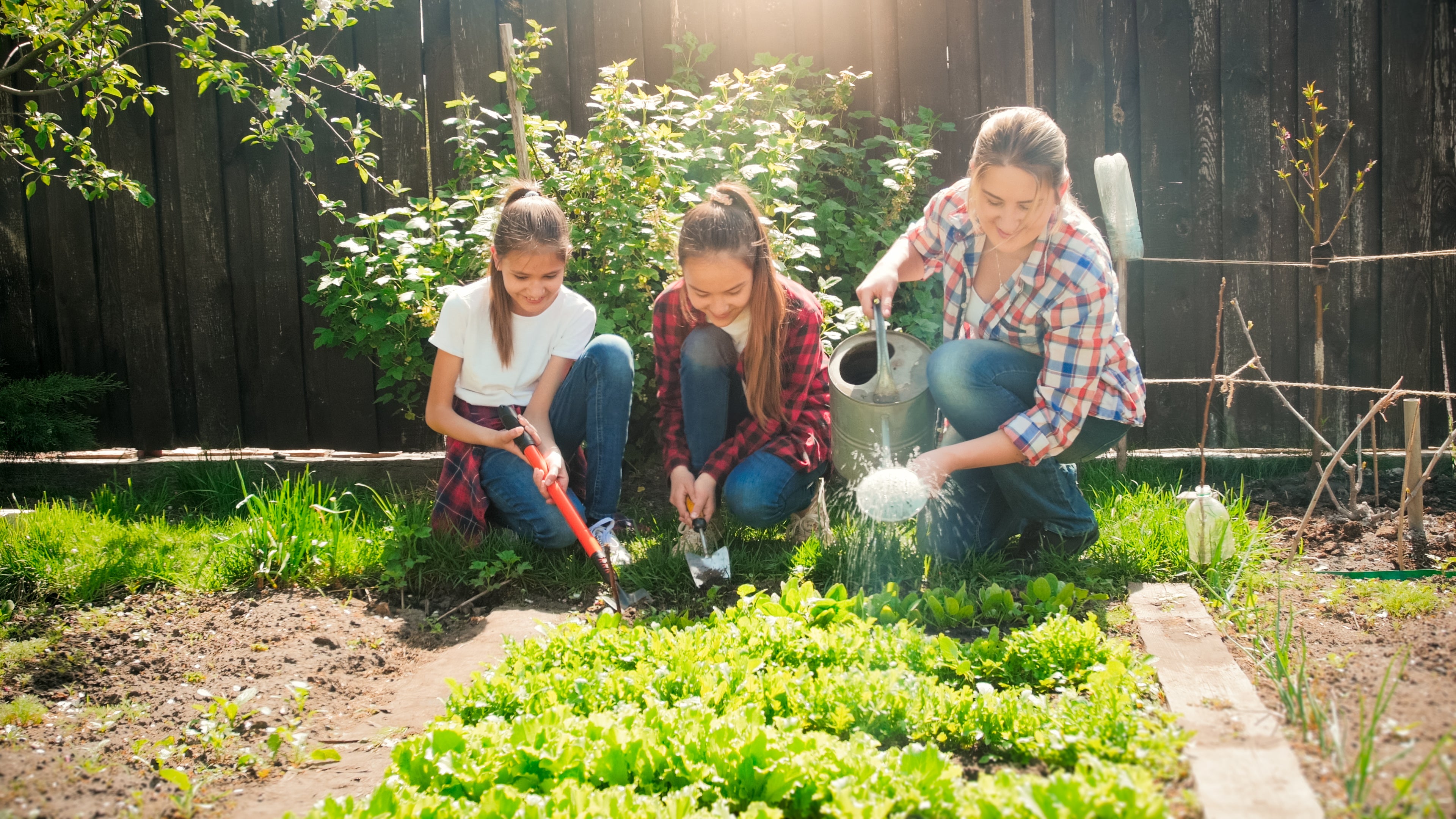 Teach Your Kids Sustainable Gardening With These Simple Tips