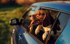 The Best Kinds of Floor Mats for Your Lifestyle