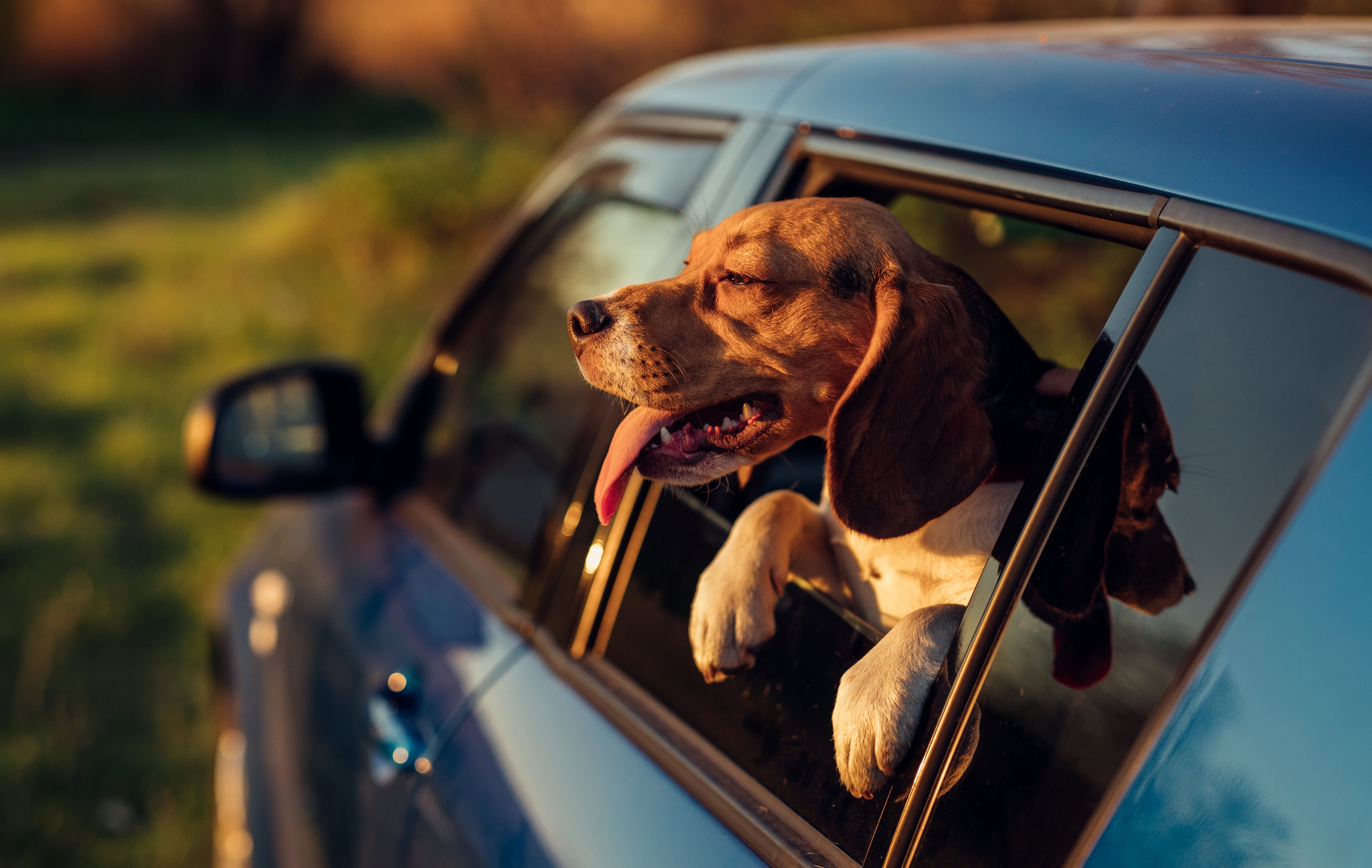 The Best Kinds of Floor Mats for Your Lifestyle