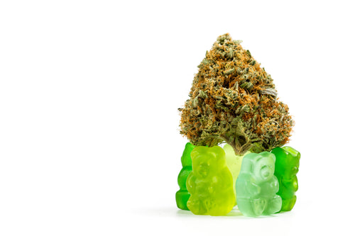 The Ultimate Guide to Cannabis Gummies