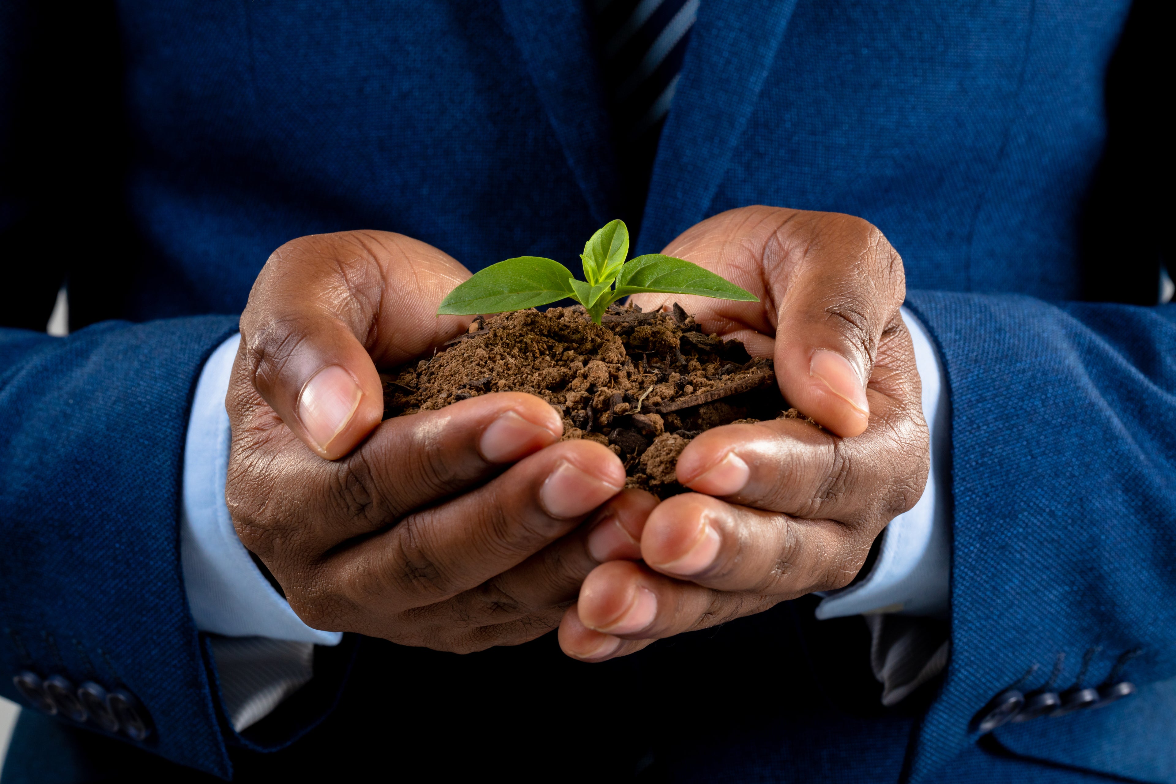 The Complete Guide to Impact Investing