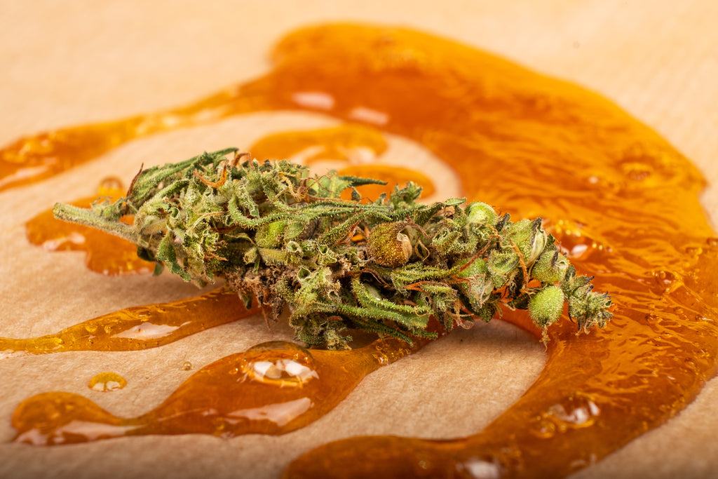 The Ultimate Guide to Cannabis Dabbing and How to Get Started