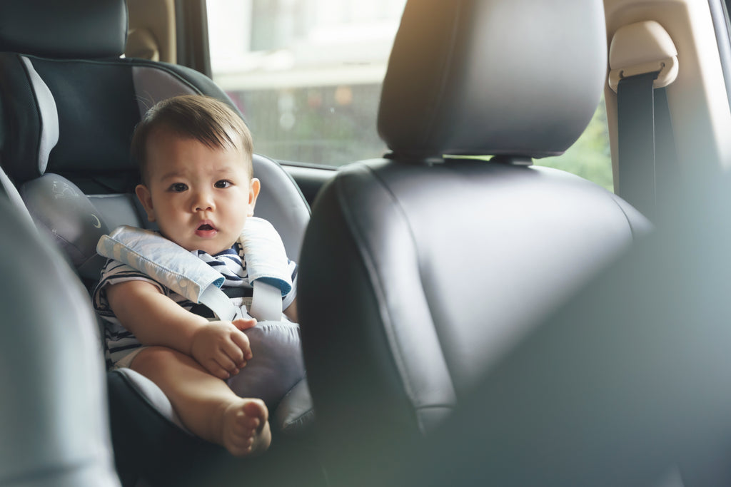 These 10 Auto Accessories Will Keep Your Car Organized