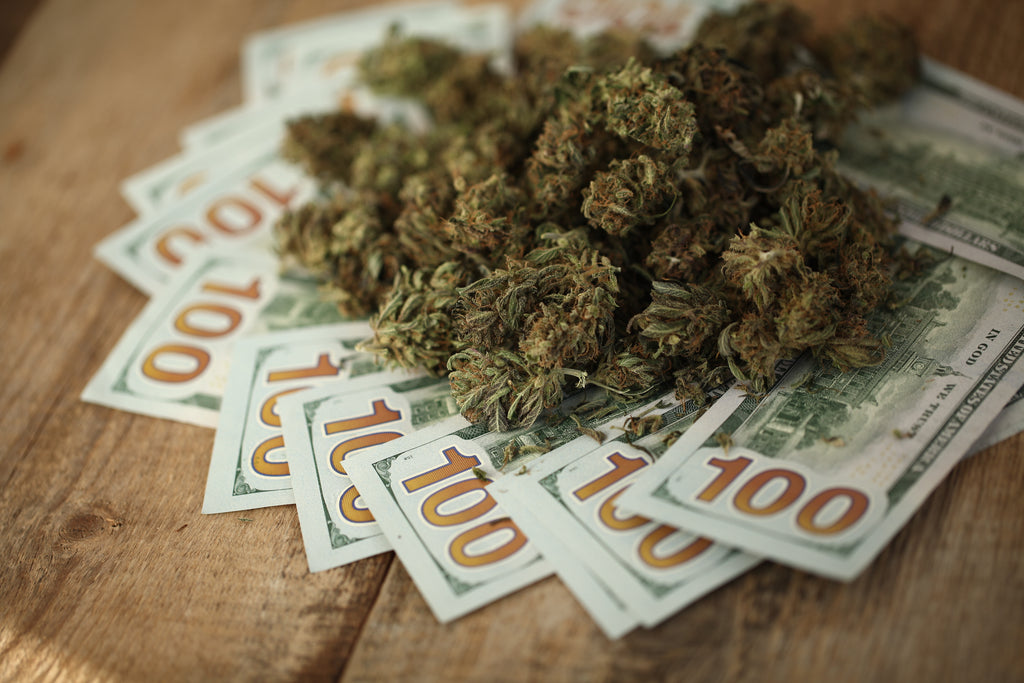 These 10 Celebrities Are Investing Big in Cannabis