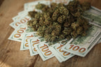 These 10 Celebrities Are Investing Big in Cannabis