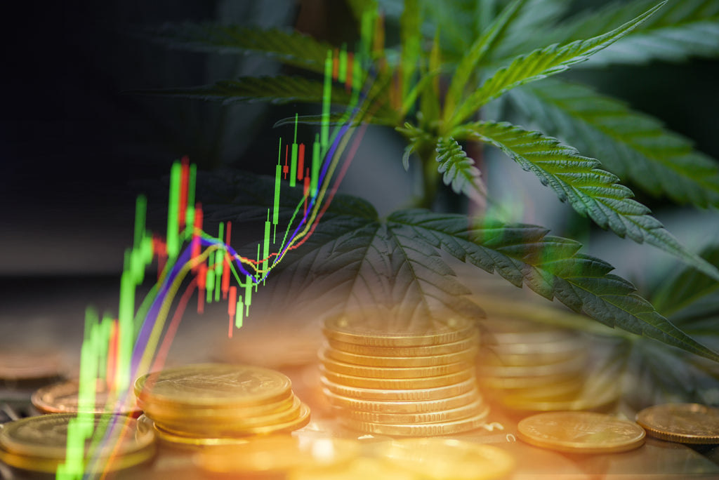 These 10 Celebrities Are Investing Big in Cannabis