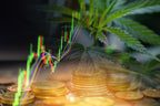 These 10 Celebrities Are Investing Big in Cannabis