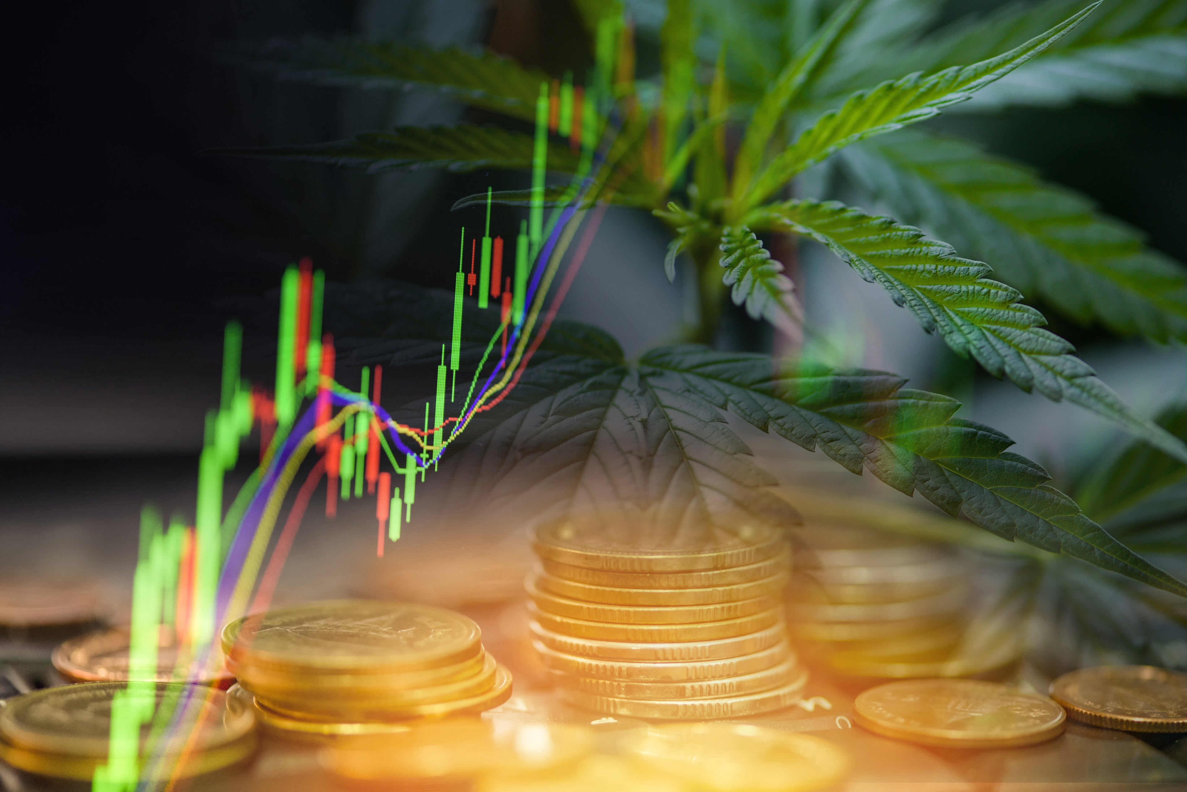 These 10 Celebrities Are Investing Big in Cannabis
