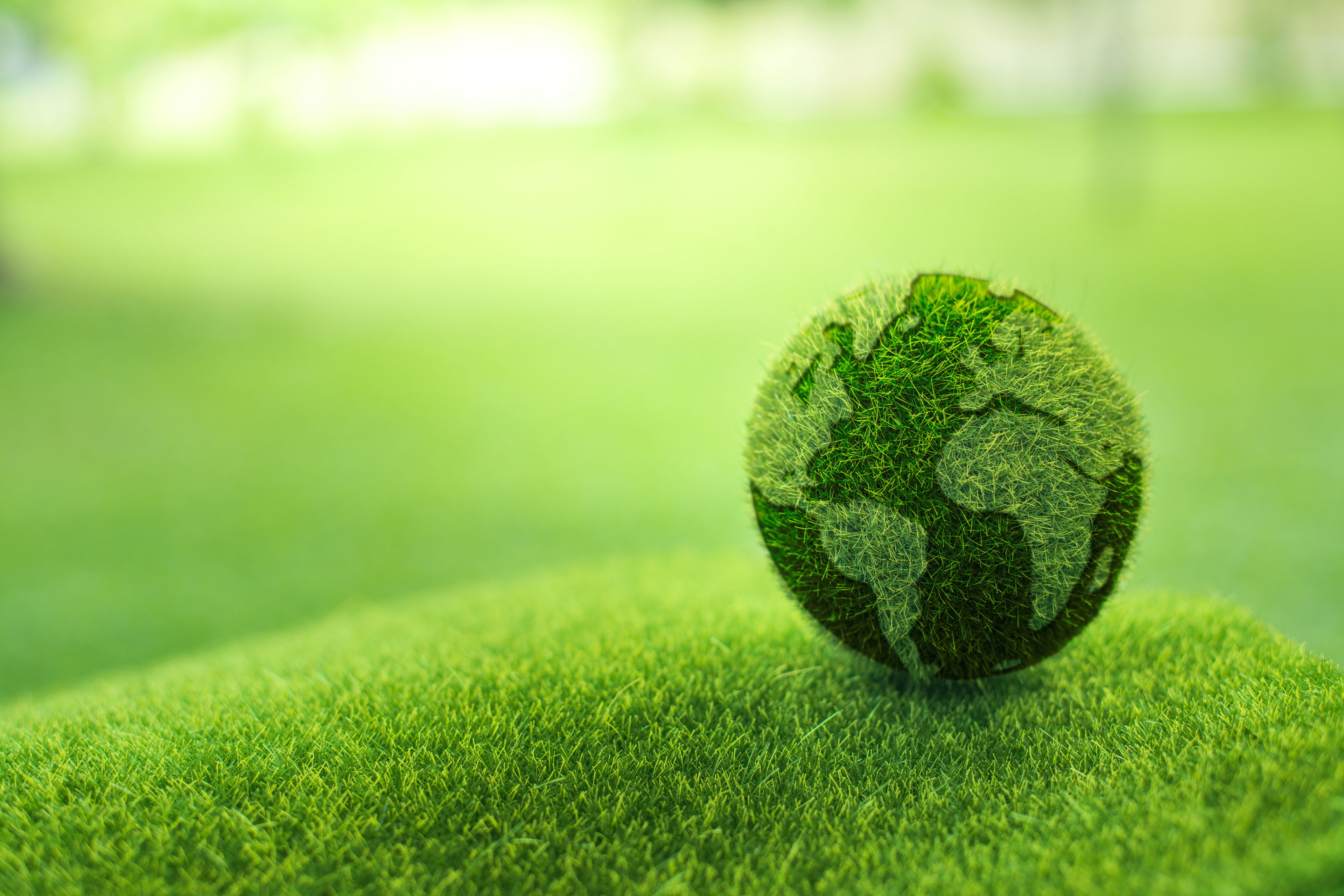 These 5 Countries Are the Greenest — Here's Why