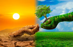 These 5 Countries Are the Greenest — Here's Why