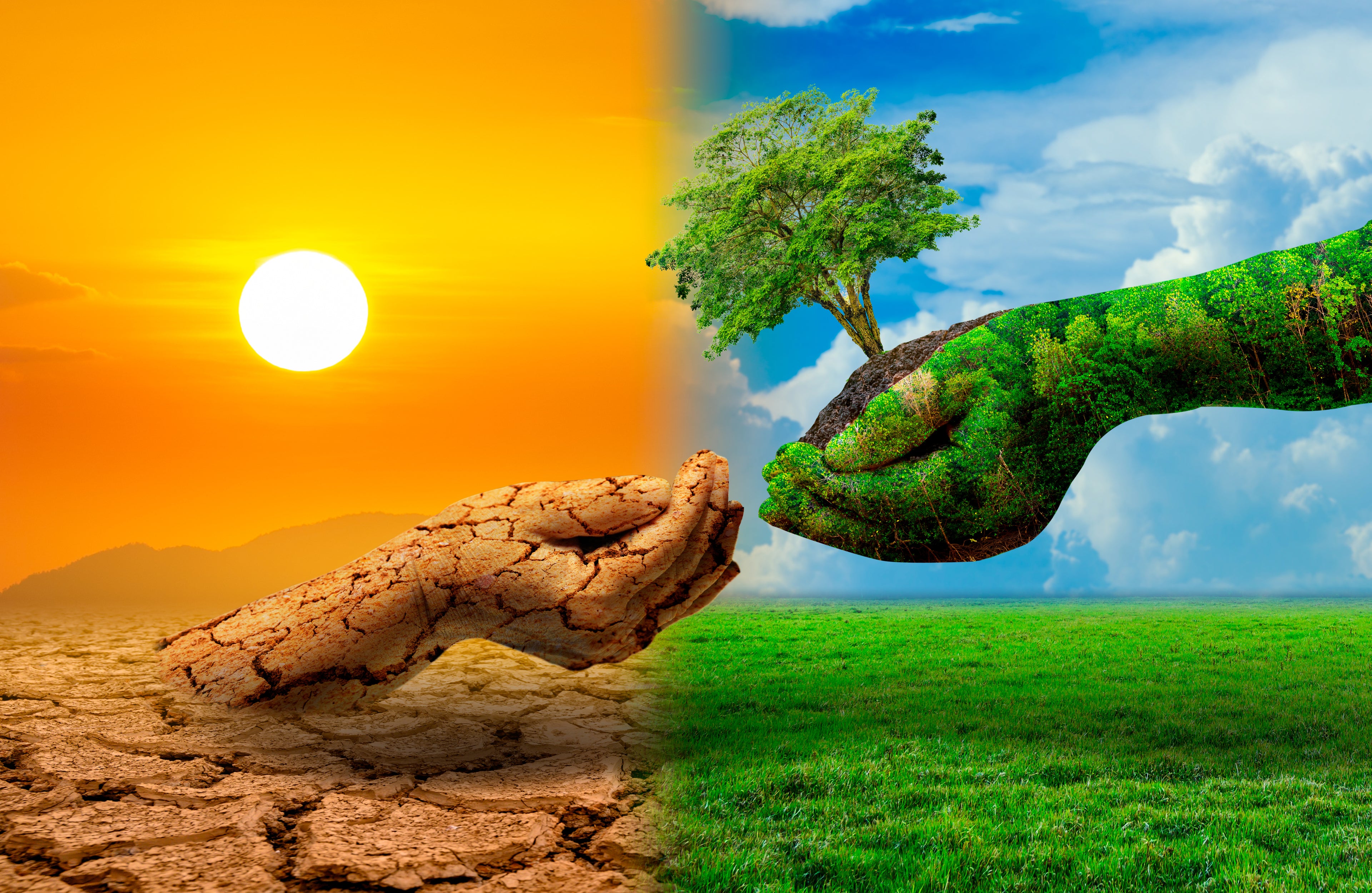 These 5 Countries Are the Greenest — Here's Why